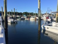 IMG_0933.JPG IMG_0933.JPG