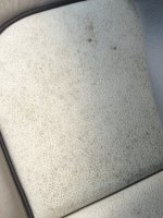 image.jpeg image.jpeg