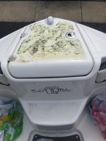 image.jpeg image.jpeg