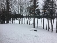 IMG_0566.JPG IMG_0566.JPG