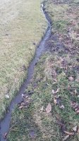 20170218_172547.jpg 20170218_172547.jpg