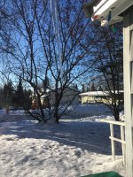 IMG_1048[1].JPG