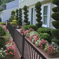 railing.jpg railing.jpg