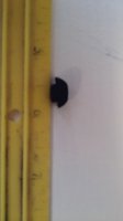 20180710_133241.jpg 20180710_133241.jpg