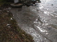 Tierra Verde 10 11 2018 002.JPG