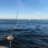 Boater802